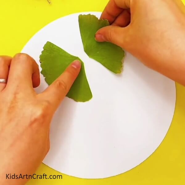 Paste both the wings of the butterfly using glue- Leaf garden and butterfly craft for those starting out