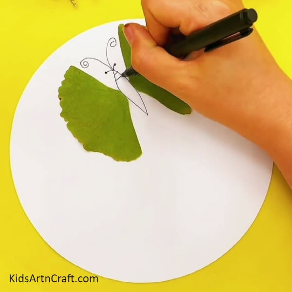 Draw the features of the butterfly with a black marker- A starter project for leaf and butterfly gardening