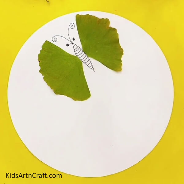 Draw stripes on the body of the butterfly using a black marker- Beginner's guide to leaf garden and butterfly craft