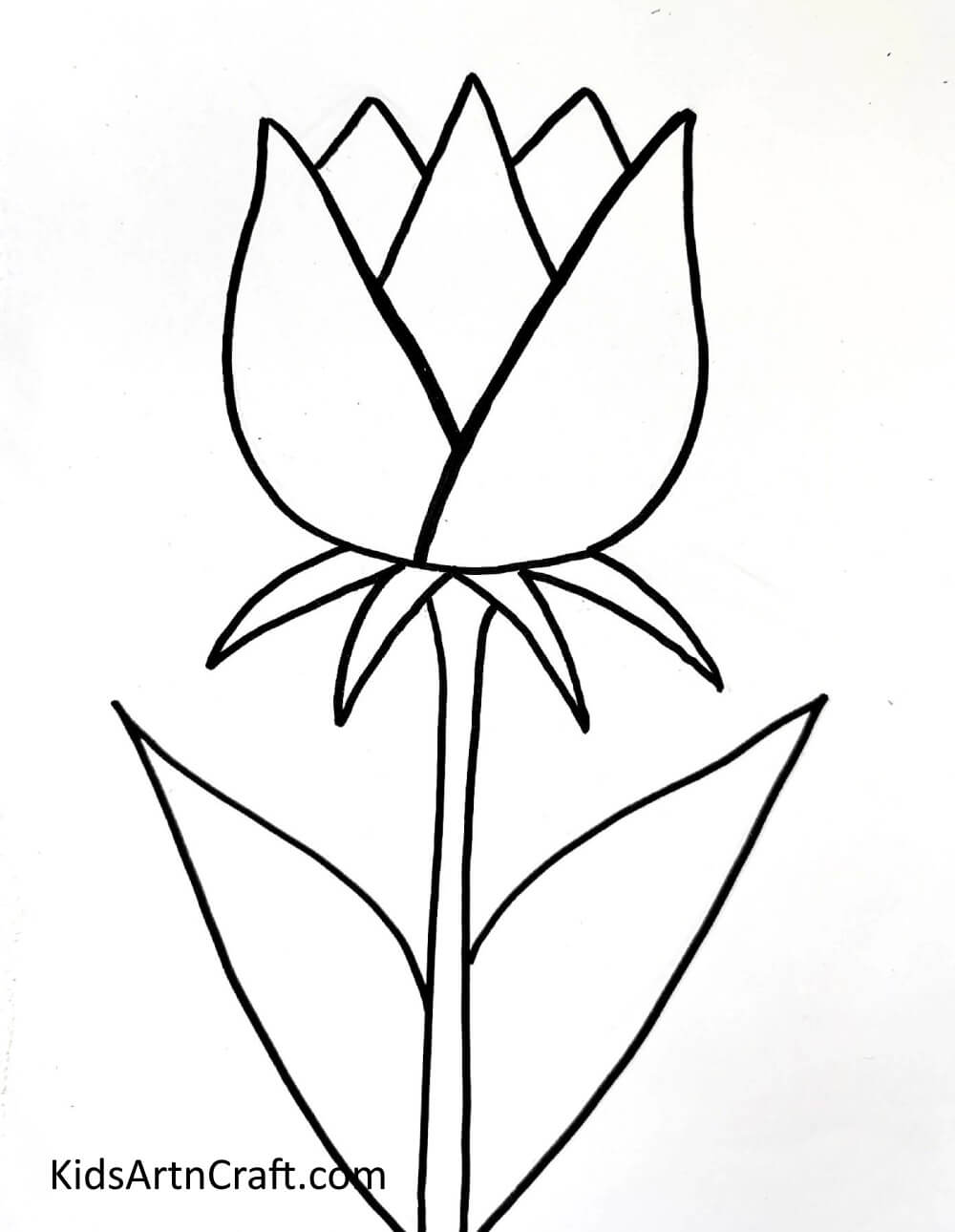 Adding Sepals And Leaves - Helping kids comprehend the straightforward process of painting a Tulip. 