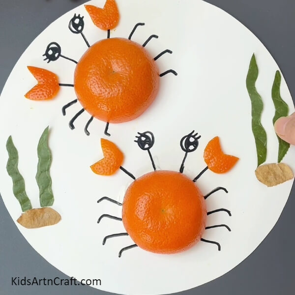 Pasting The Plants And Stones-Learn How To Put Together A Crab Craft With Orange Peel And Leaves