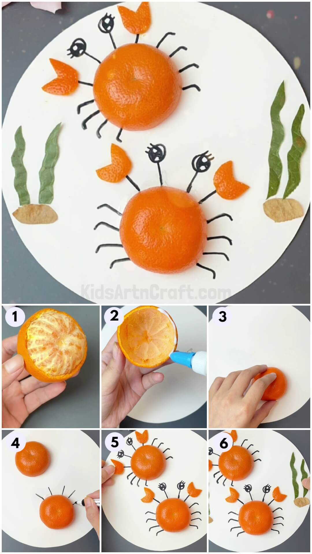 Learn To Make Crab Craft Tutorial Using Orange Peel And Leaves