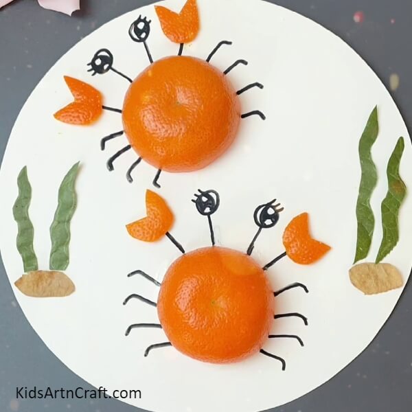 Your Orange Peel Crab Craft Is Ready!-Discover How To Create A Crab Art Project With Orange Peel And Foliage