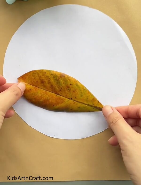 Pasting Leaf On The White Sheet Using Glue- Educate yourself on how to craft Orange Peel Snail Artwork for children 
