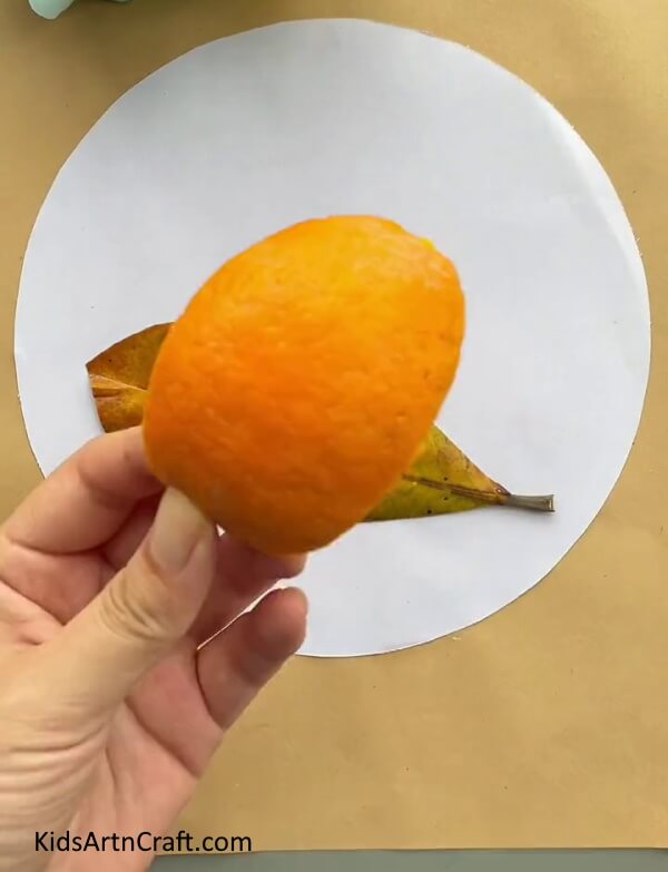 Cutting A Big Piece From The Orange Peel-Master the technique of making Orange Peel Snail Art for kids 