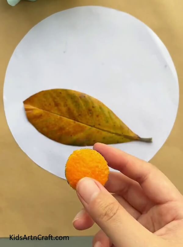 Cutting A Circle From Orange Peel To Create A Snail Shell-School yourself in the art of Orange Peel Snail Artwork for little ones 