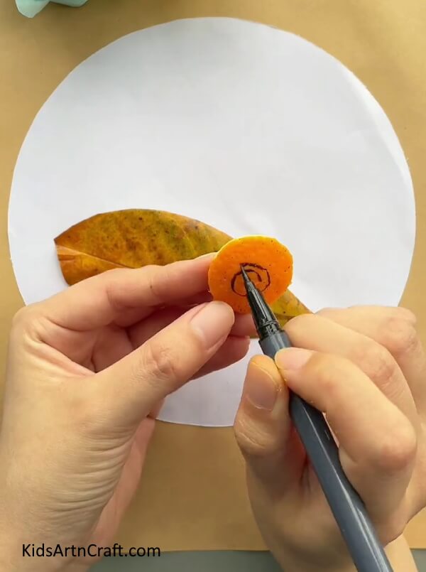 Drawing Spiral On Orange Peel Using A Black Pen-Get to grips with creating Orange Peel Snail Art designed for youngsters 