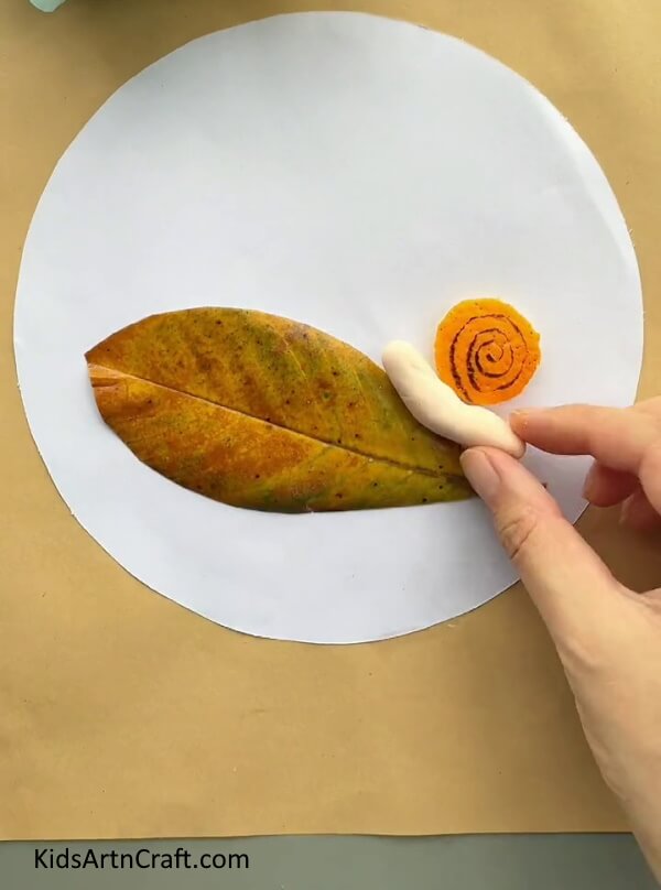 Pasting A Piece Of Clay Under An Orange Peel-Figure out how to put together Orange Peel Snail Artwork for minors 