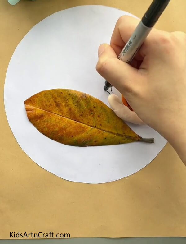 Drawing Antennas For Your Snail- Pick up the skill of designing Orange Peel Snail Art for children 