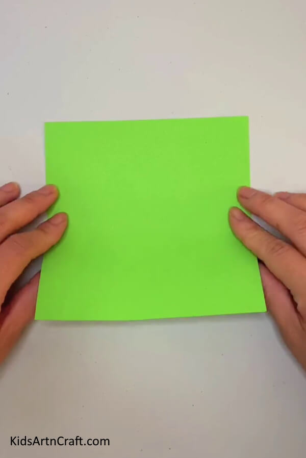 Folding The Paper To Form a Rectangle-follow these steps to create an Origami Snake Craft 