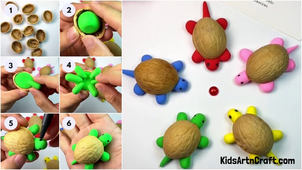 Learn To Make Walnut Shell And Clay Turtles Craft