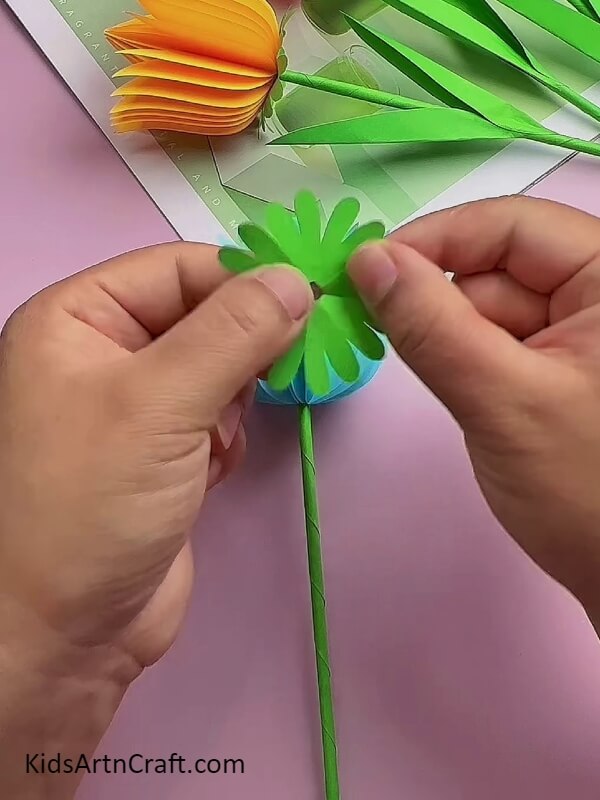 Open the Green Craft Paper- Simple Tulip Flower Construction Tutorial For Youngsters 