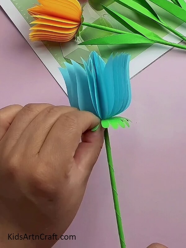 Insert the Sepal Into the Stem- Enjoyable and Easy Tulip Flower Art Tutorial For Kids 