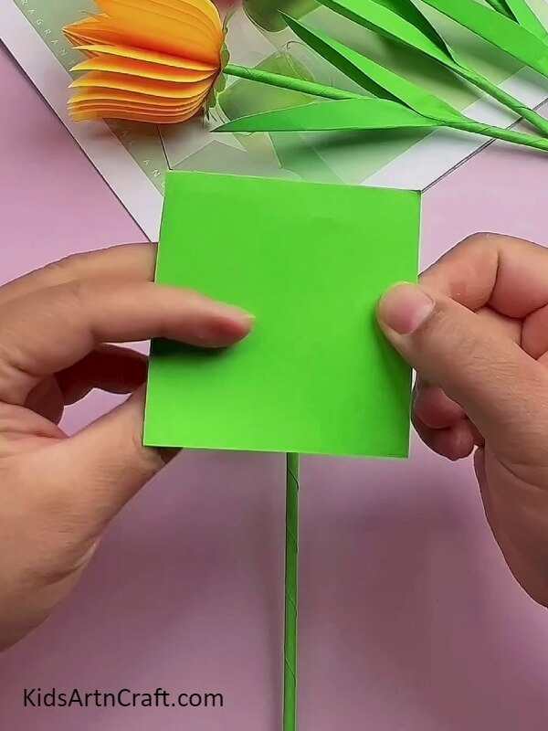 Take Green Craft Paper- Quick Tulip Flower Creation Advice For Youngsters 