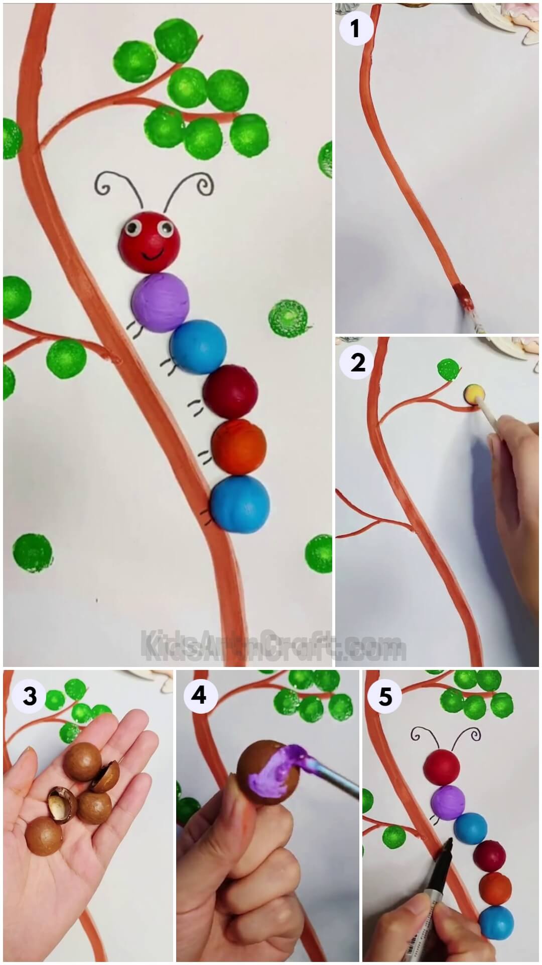 Macadamia Nutshell Caterpillar Artwork Craft For Beginners