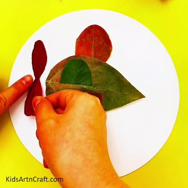 Taking the think red leaves to make the fan- Mastering the Art of Plane Leaf Crafting for Beginners 