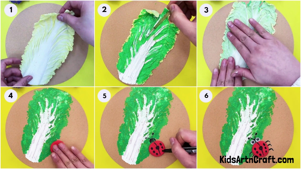 Cabbage Impression Painting-Clay Craft Idea For Beginners