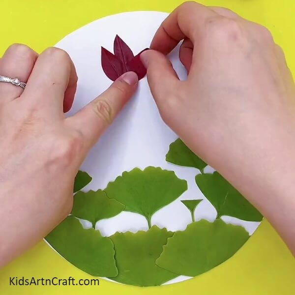 Adding Lotus- An Inventive Leaf Lotus Design for Little Ones
