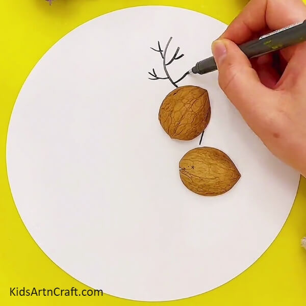 Connect The Head And Body With A Marker-DIY Craft Ideas Using Walnuts