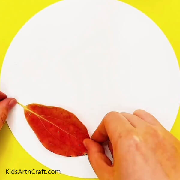 Pasting A Red Leaf-Pretty Worm Craft Using Autumn Leaves Concept For Beginners 