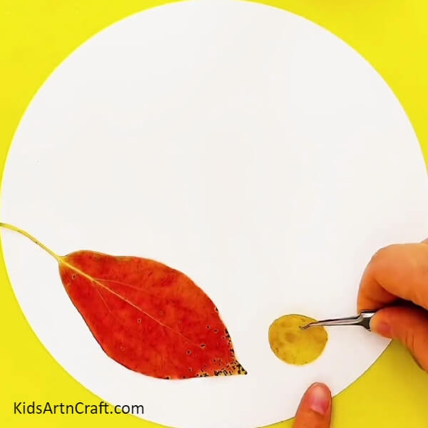 Pasting A Yellow Leaf Circle-Making a Sweet Butterfly Art Piece Utilizing Autumn Leaves For Preschoolers