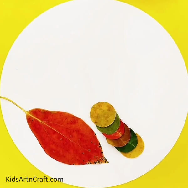 Forming The Body Of The Caterpillar-Crafting an Endearing Caterpillar Project Using Autumn Leaves For Kids