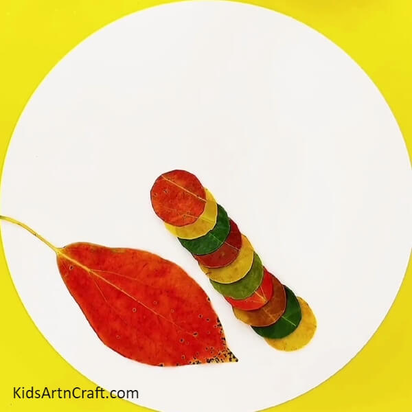 Completing Making Caterpillar's Body-Creating a Charming Caterpillar Artwork Utilizing Autumn Leaves For Amateurs