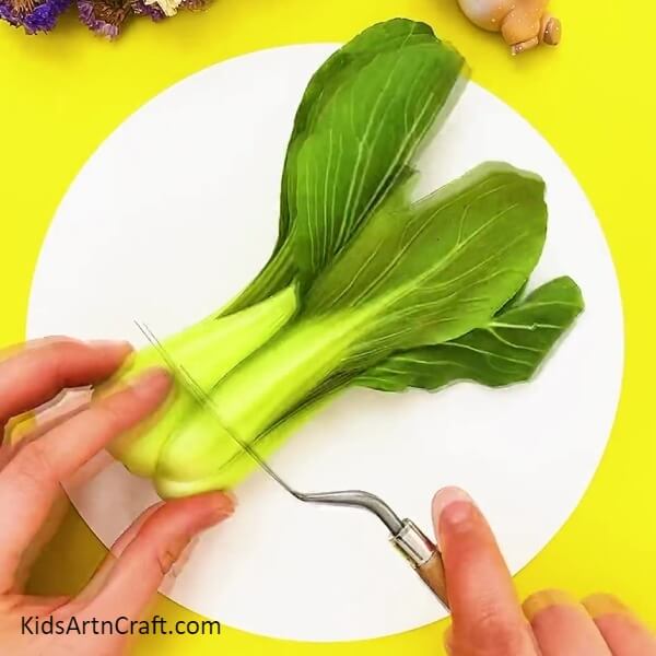 Cut your lettuce in half with knife-Crafting a Lettuce Stamped Rose Picture for Novices