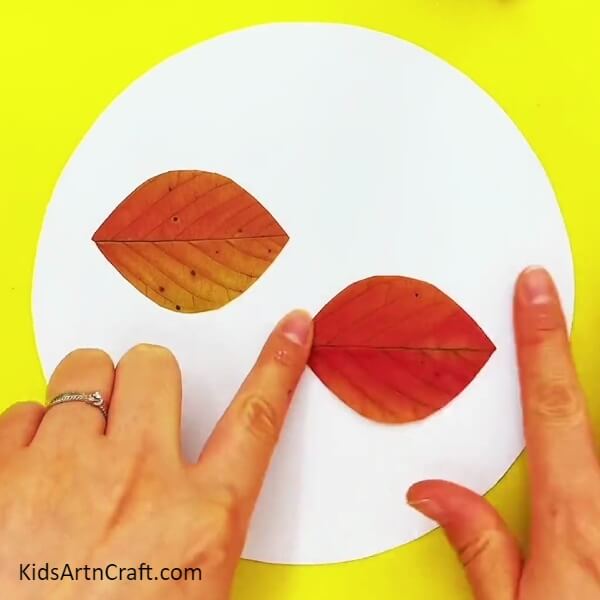 Making Bodies Of The Spiders -Artistic Leaf Spiders to Make with Kids 