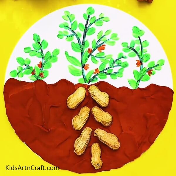 Completing Making Roots Of The Middle Plant- Growing a garden composed of clay and peanut shells 