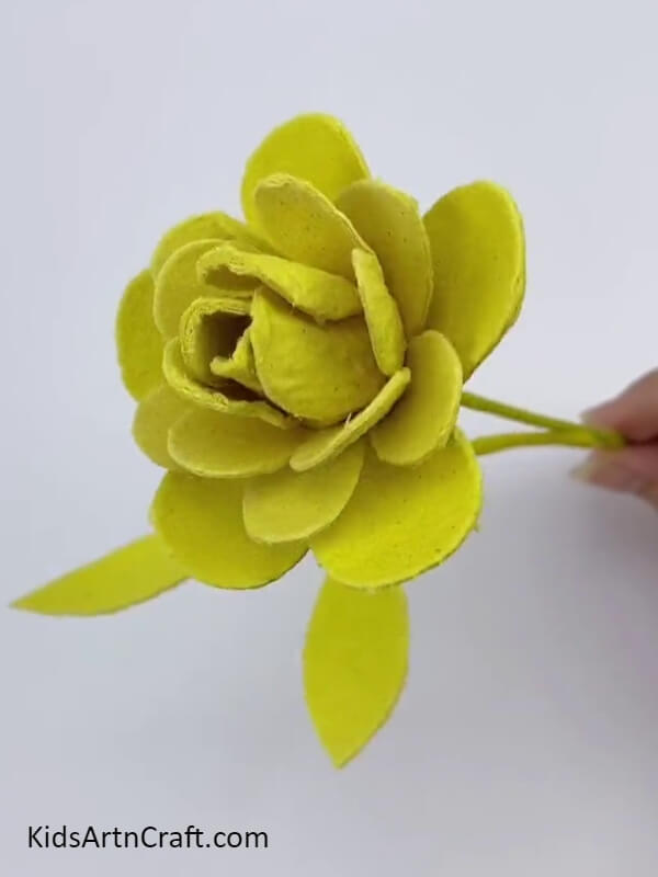 Pasting The Stem Holding The Leaves- Assembling Attractive Roses From An Egg Container Tutorial For Kids