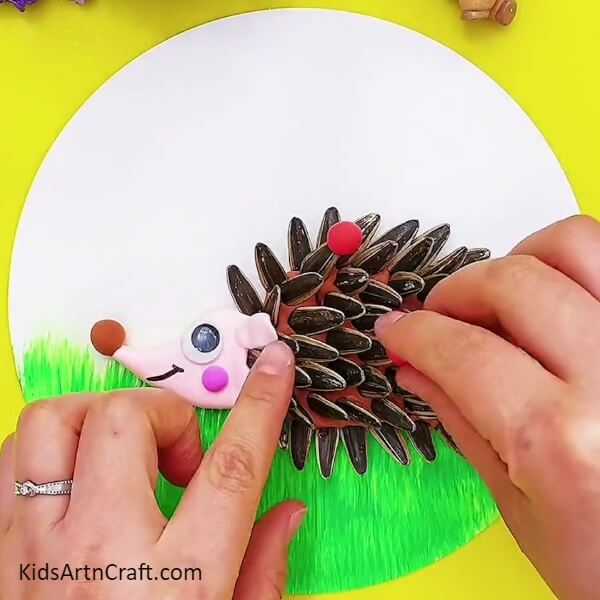 Detailing on the Hedgehog- A fun and unique way to make a hedgehog out of clay and sunflower seeds for children.