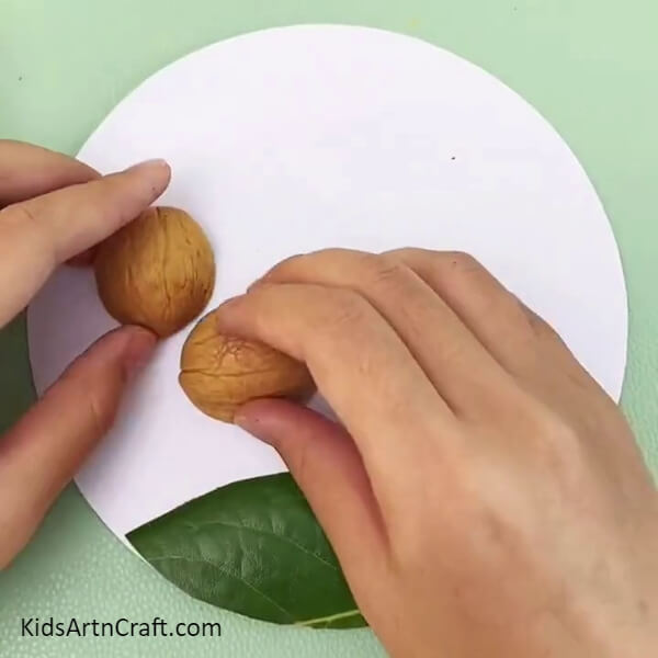 Placing The Walnut- Instructions to Construct a Walnut Deer Out of Leaves