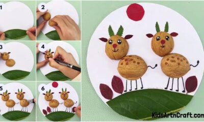 Walnut Deer Craft Using Leaves Step by Step Instructions