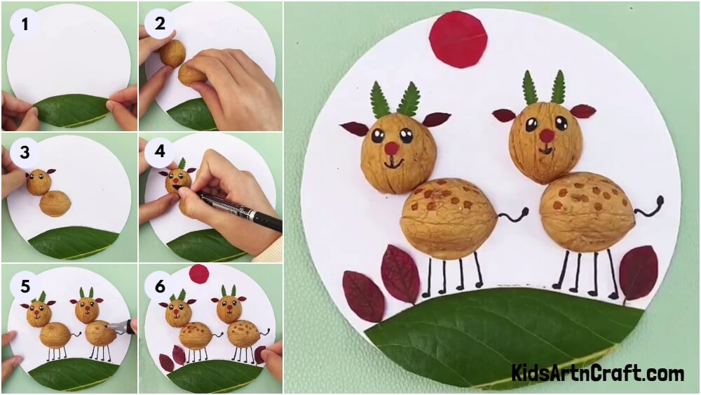 Walnut Deer Craft Using Leaves Step by Step Instructions