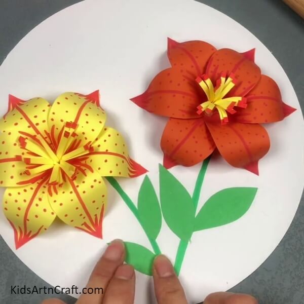 Completing Adding Leaves To the Flower Stems- Kids can follow these steps to create a 3D lily from paper