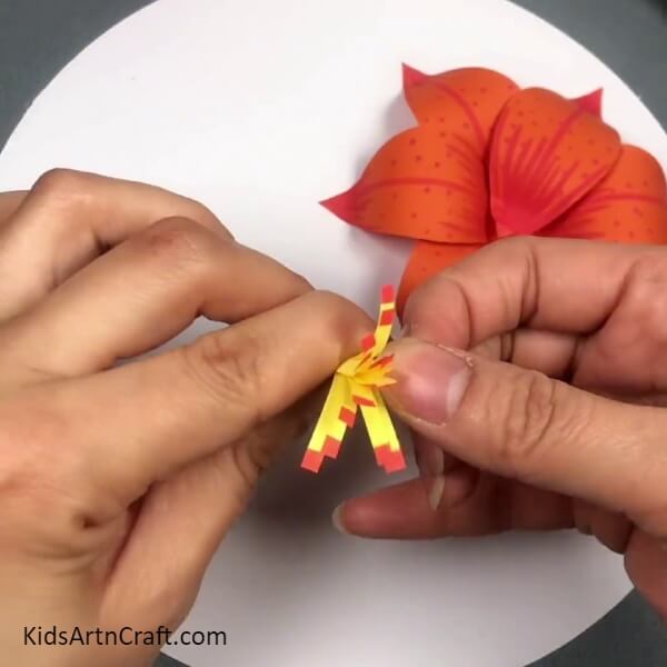 Curling The Strips- With this tutorial, kids can learn how to construct a 3D Lily Paper Flower