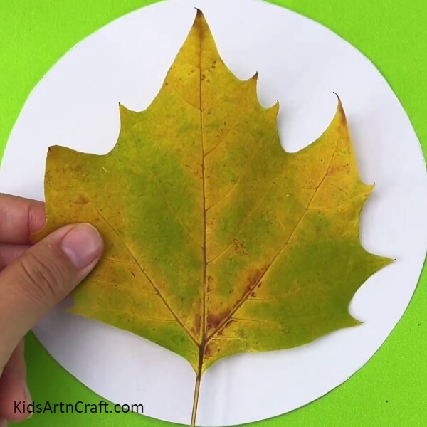 Gathering Materials- Instructions on How to Make a Leaf Turkey with Children