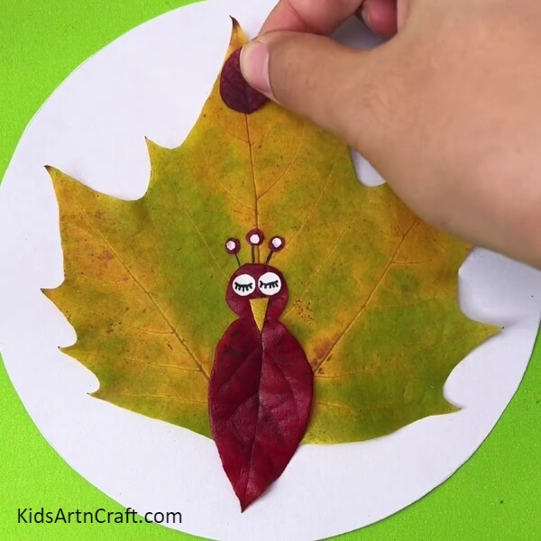 Making A Feather Over Its Train- Detailed instructions for creating a Leaf Turkey with kids