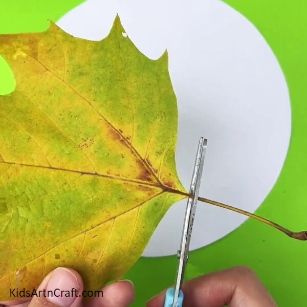 Cutting The Stem Of The Leaf- A Guide on How to Create a Leafy Turkey with Little Ones