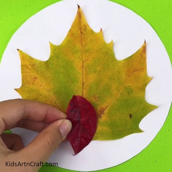 Pasting The Red Leaf- DIY Leaf Turkey Project for Kids