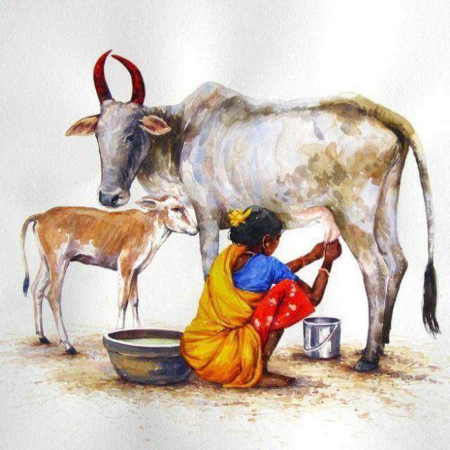 A Women Milking a Cow with Calf Drawing Art Idea for Kids