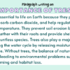 Paragraph on Importance of Trees