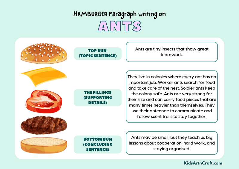 Ants Paragraph Writing with Hamburger Method
