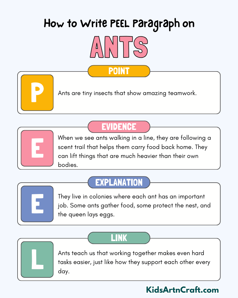 Ants Paragraph Writing with PEEL Method