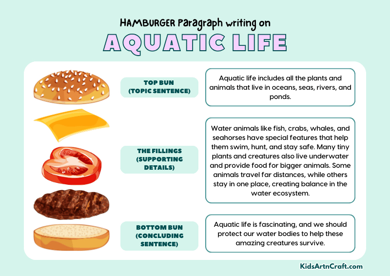 Aquatic Life Paragraph Writing with Hamburger Method