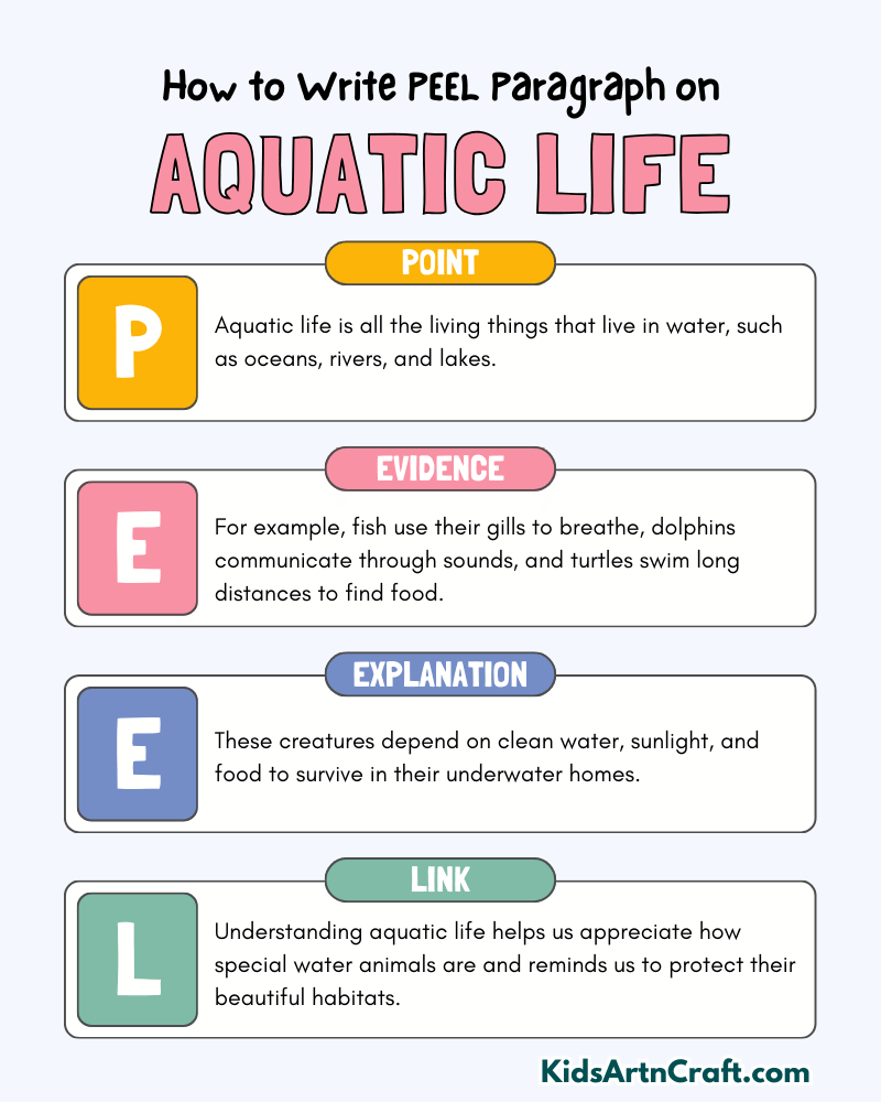 Aquatic Life Paragraph Writing with PEEL Method