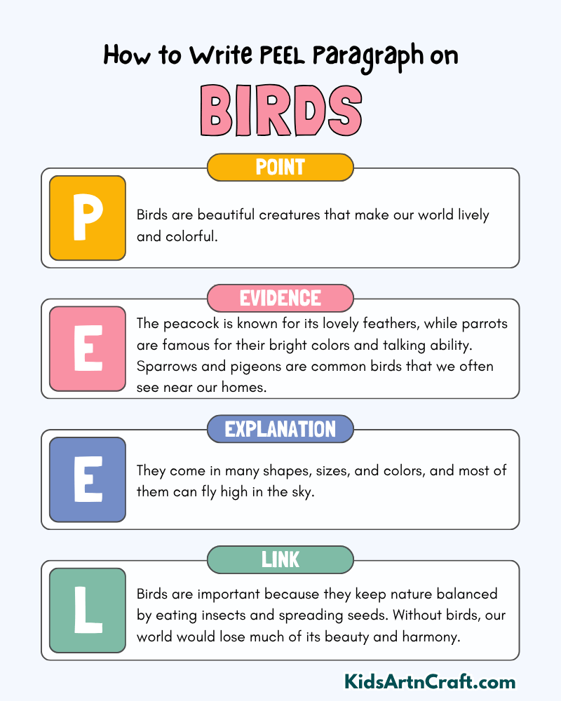 Birds Paragraph Writing with PEEL Method
