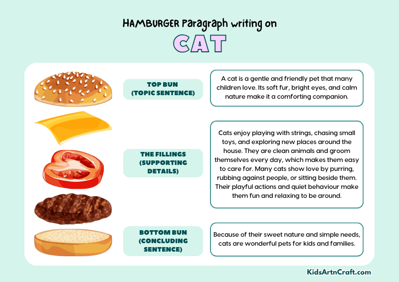 Cat Paragraph Writing with Hamburger Method