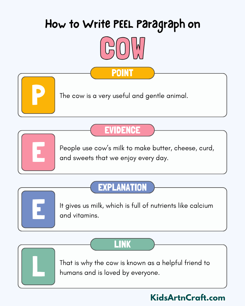 Cow Paragraph Writing with PEEL Method